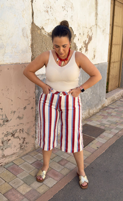 Bermudas Rayas Multicolor